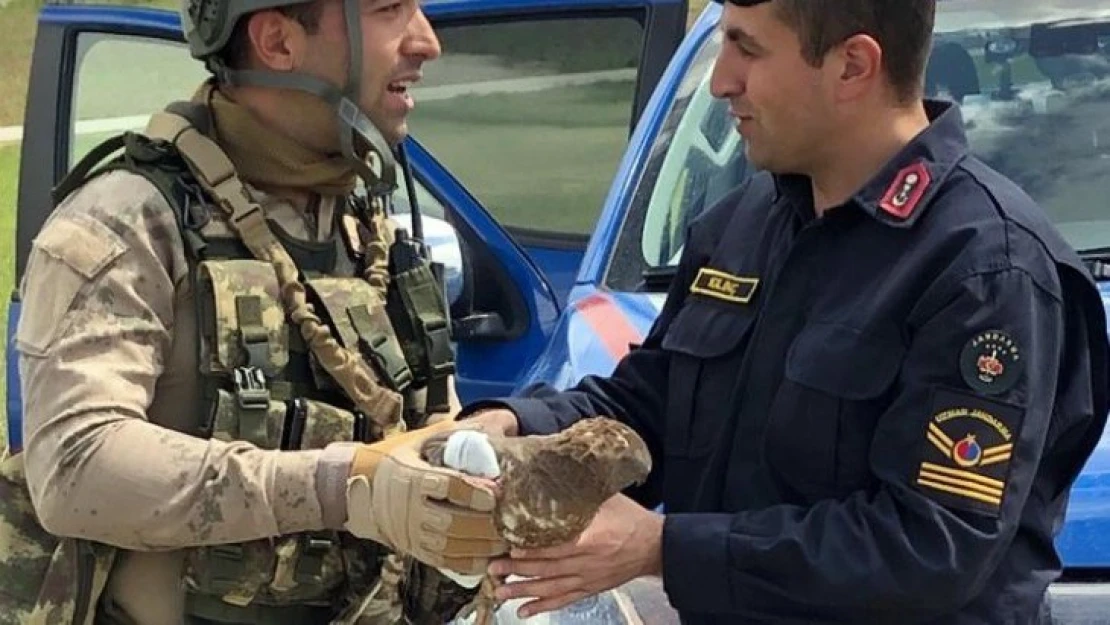 Obuz Köyünde Komandolardan Yaralı Şahine Şefkat Eli