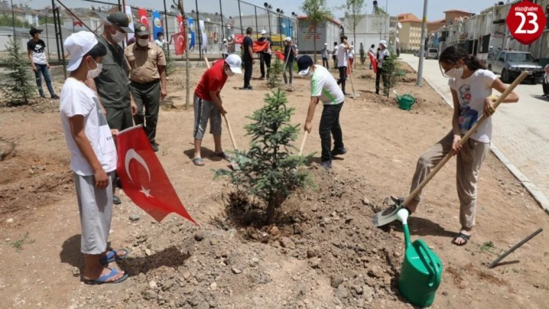 Konteyner kentlerde bayram coşkusu 1919 fidan toprakla buluştu