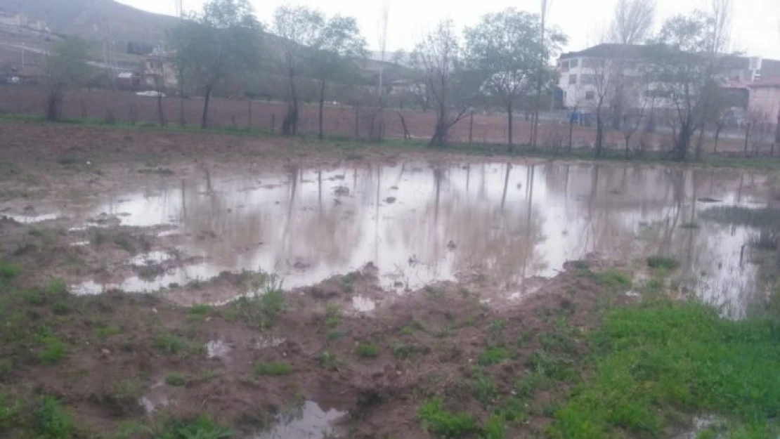 Kovancılar'da yağış, ekinlere zarar verdi