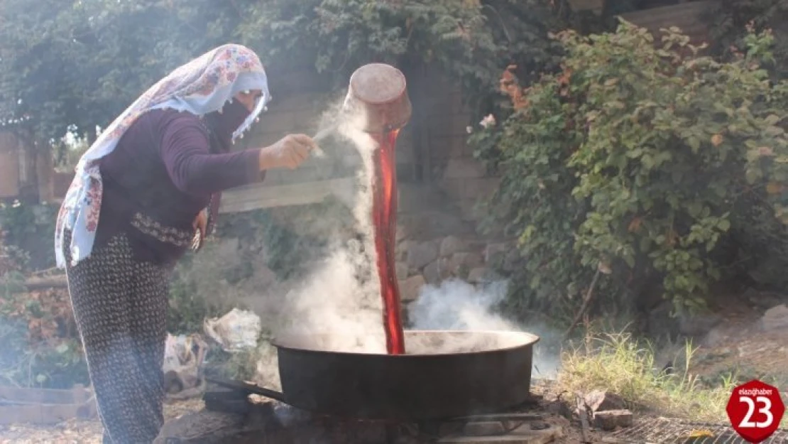 Köylerde Şifa Kaynağı Pekmez Mesaisi