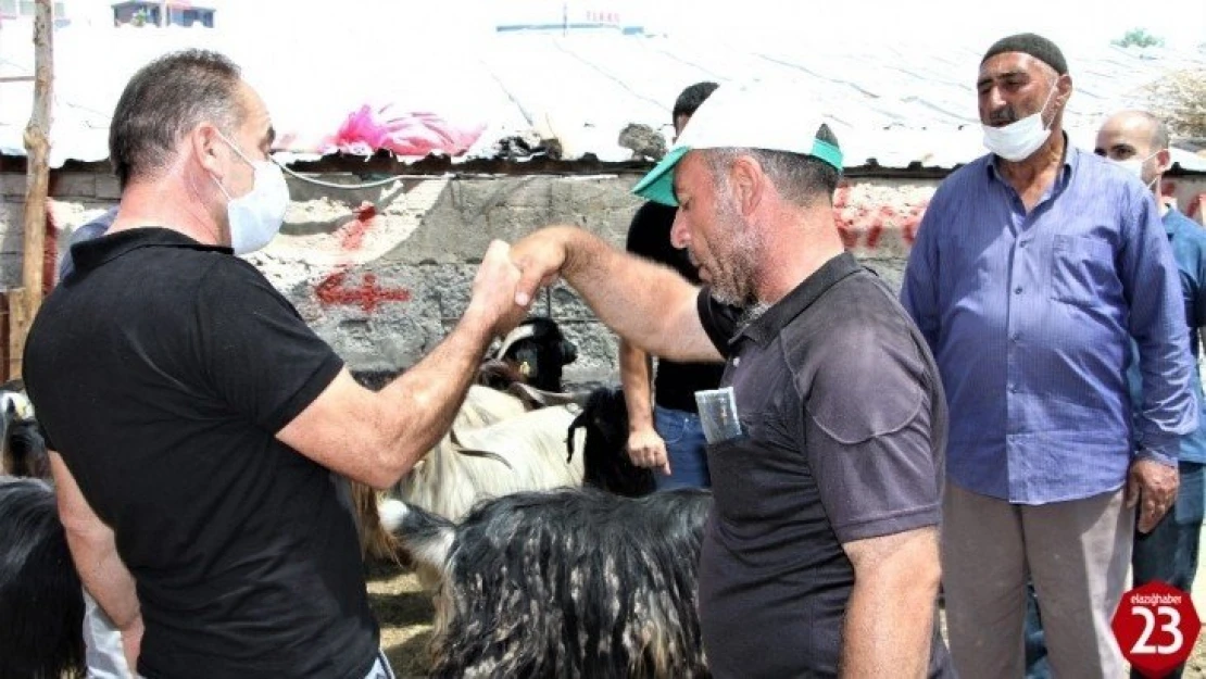 Kurban Pazarında 3'üncü gün yoğunluğu