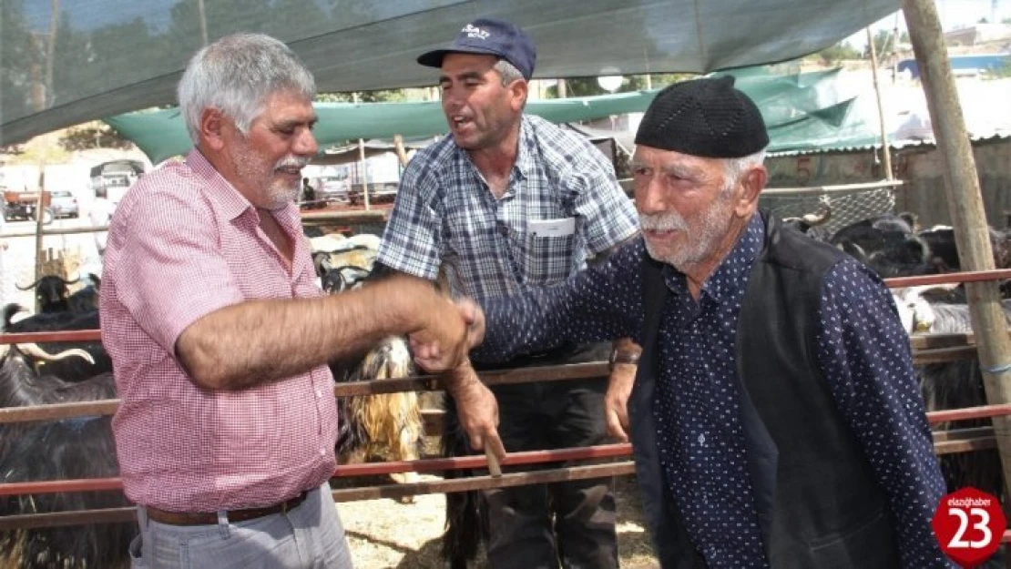 Elazığ'da Kurban Pazarında Hareketlilik Arttı, Pazarlıklar Kızıştı