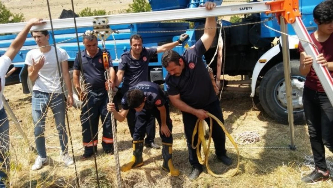 Baskil'de Kuyuya Düşen İnek, Bakın Nasıl Kurtarıldı