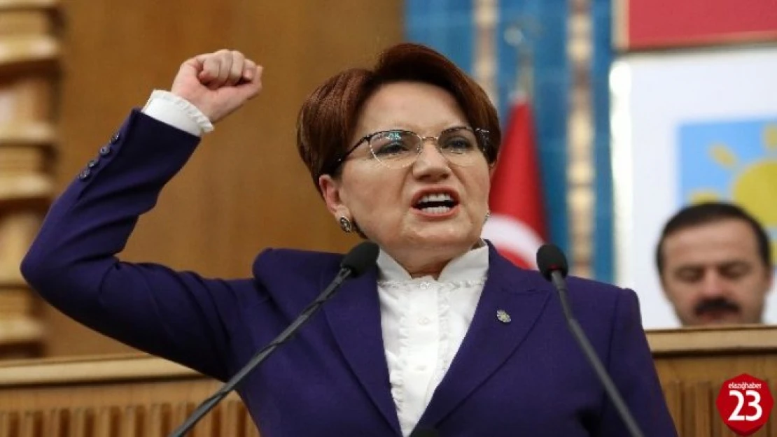 Meral Akşener ve Eşi Koronavirüse Yakalandı