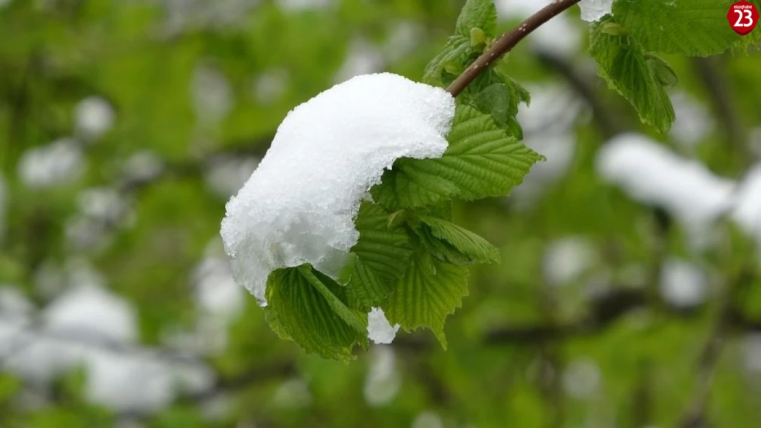 Meteoroloji'den 5 İl İçin Zirai Don Uyarısı: Elazığ, Malatya, Tunceli, Bingöl ve Adıyaman Dikkat!