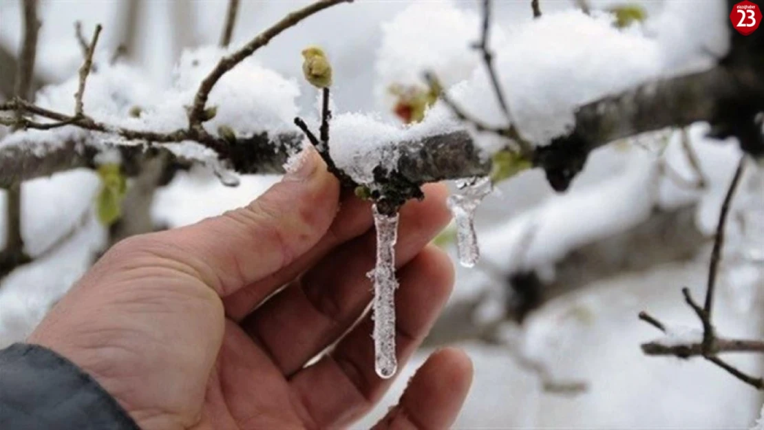 Meteoroloji'den Elazığ, Malatya, Adıyaman, Bingöl ve Tunceli İçin Zirai Don Uyarısı!