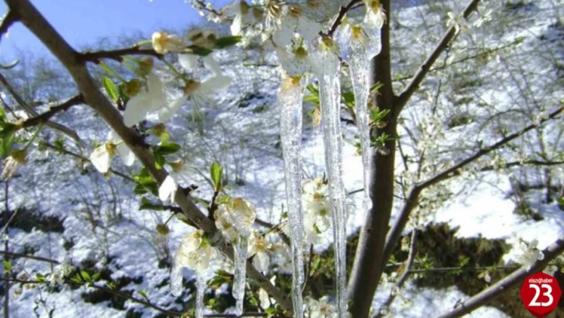 Meteorolojinin zirai don uyarısı sürüyor