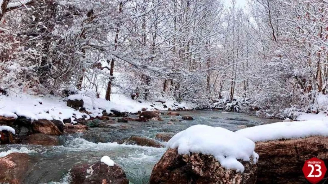 Mirvan Çayı, dört mevsim farklı güzelliğiyle göz kamaştırıyor