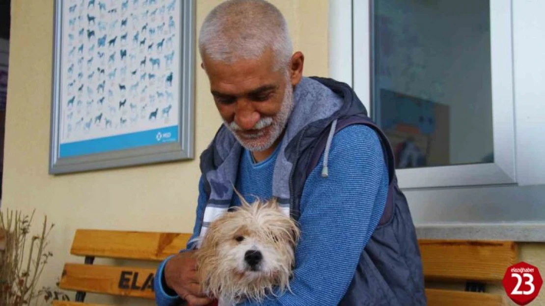 Muğla'da çalınan köpek, çipi sayesinde Elazığ'da bulunarak sahibine teslim edildi