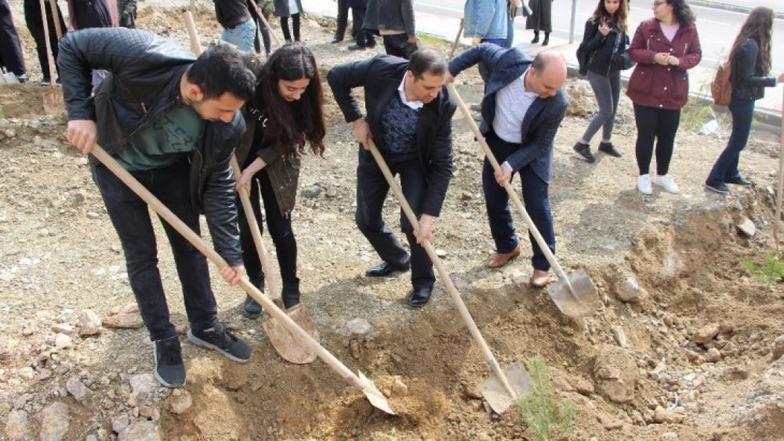 Fırat Üniversitesi Eğitim Fakültesi Öğrencileri Fidan Dikti