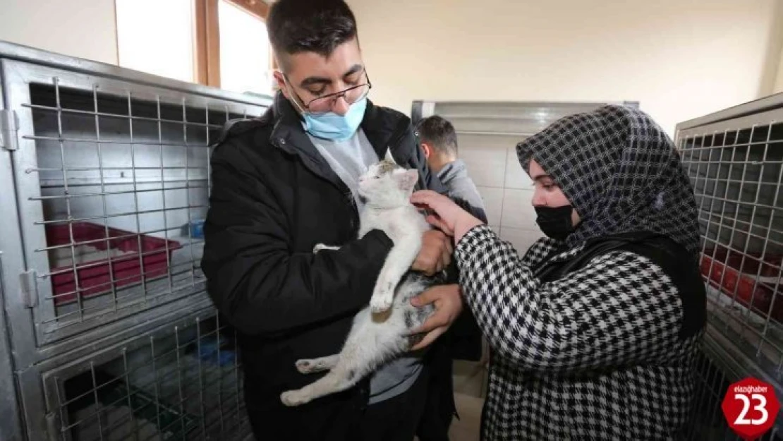 Öğrenciler minik dostları ile bir araya geldi