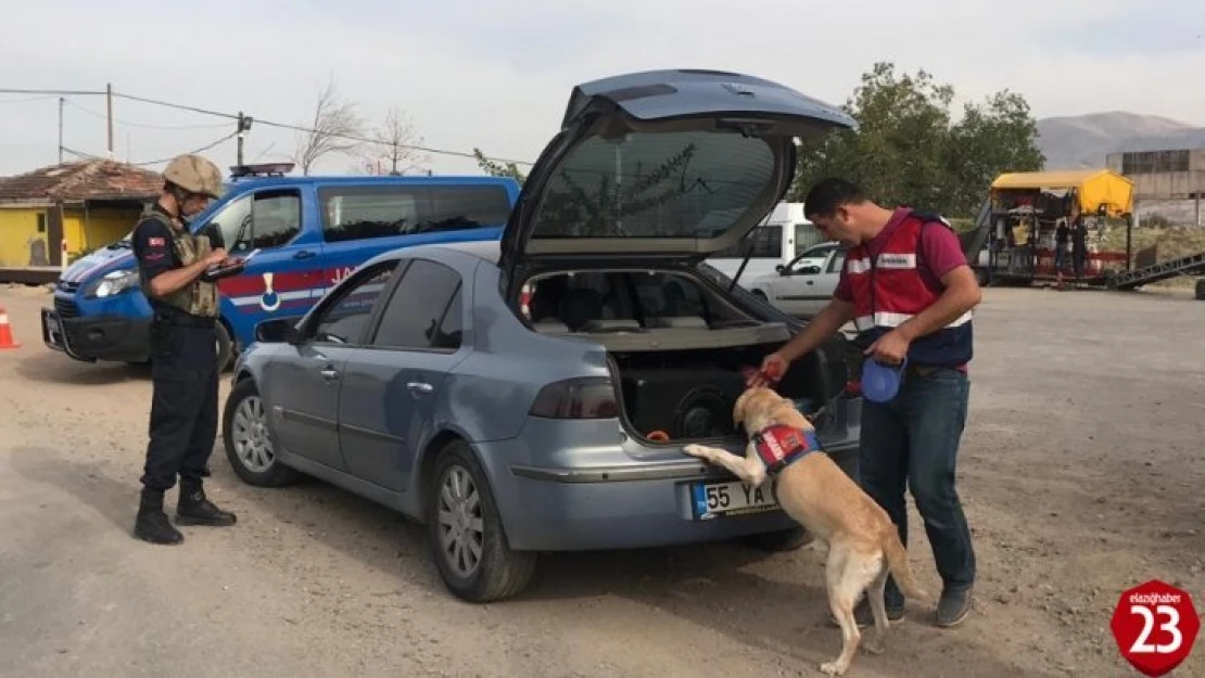 Örgüt Propagandasından Aranan Şüpheli Yakalanıp Tutuklandı