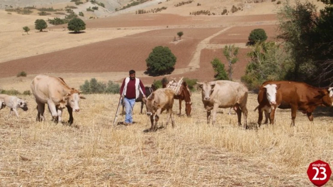 Kovancılar'da Örnek Yaşam Mücadelesi