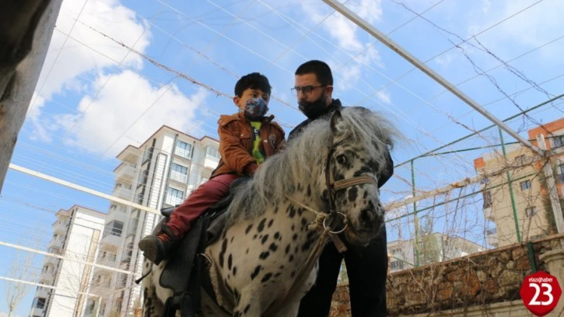 Otizmli çocuklar, duyu odaları ve atla terapiyle hayata hazırlanıyor