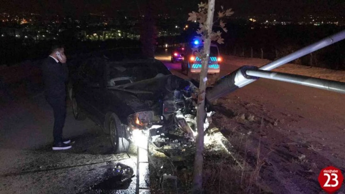 Otomobil aydınlatma direğini ve ağacı devirdi: 1 yaralı