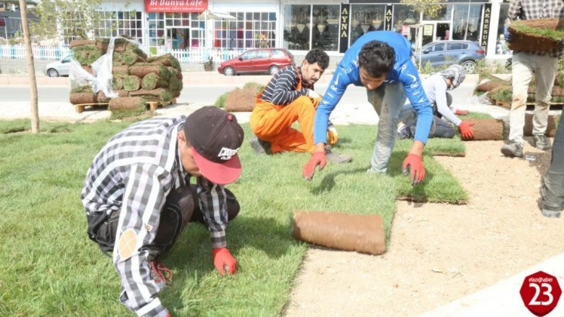 Park ve Bahçeler Müdürlüğü Daha Yeşil Bir Elazığ İçin Çalışıyor