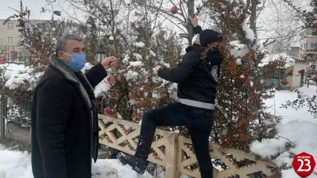 Polis yaban ve sokak hayvanları unutmadı