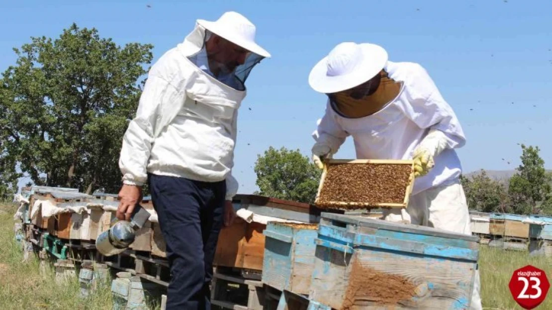 Sert ve Zor Geçen Kış Mevsimi En Çok Onları Sevindirdi