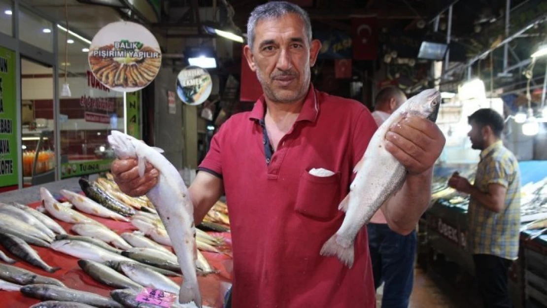 Sezon Açıldı, Tezgahlar Balıklarla Renklendi