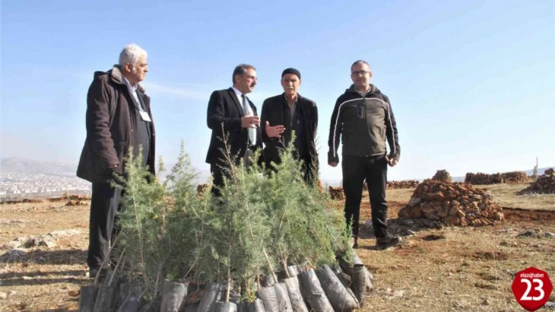 Taşlık Araziyi Ormana Çevirmişti, Yetkililer Teşekkür Edip Fidan Desteğinde Bulundu