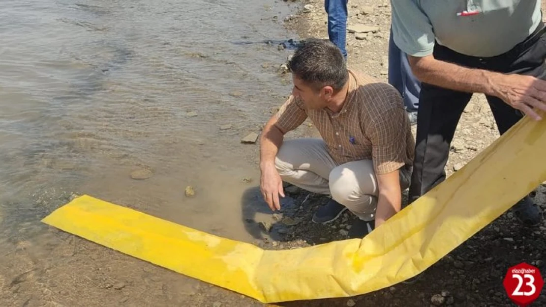 Tatar baraj gölüne 200 bin pullu sazan bırakıldı