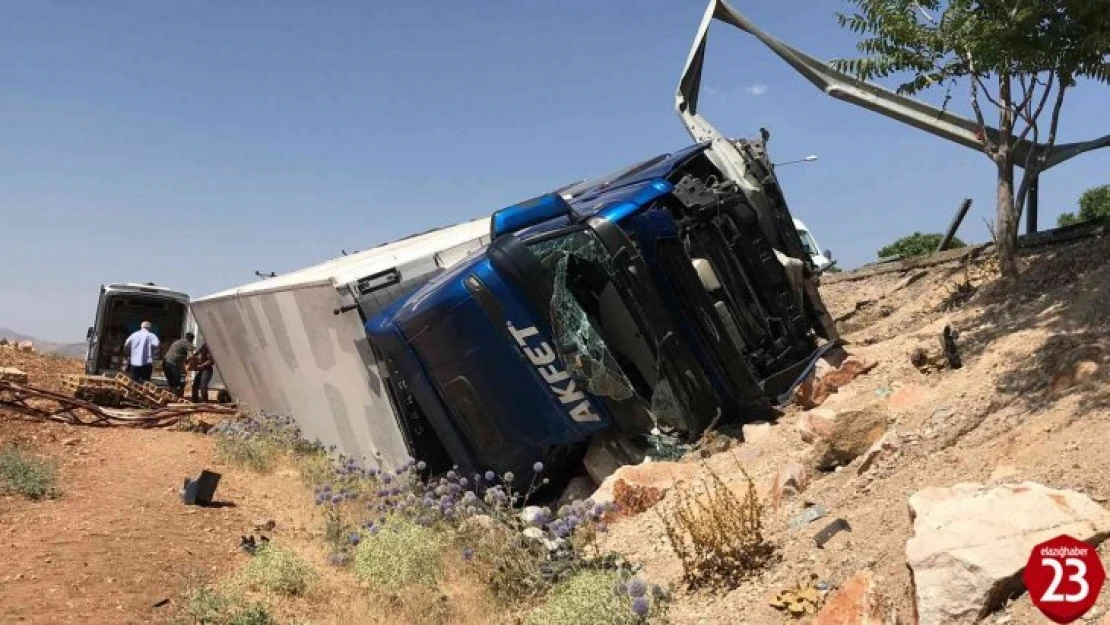 Elazığ'da Tavuk Yüklü Tır Şarampole Devrildi, 1 Yaralı