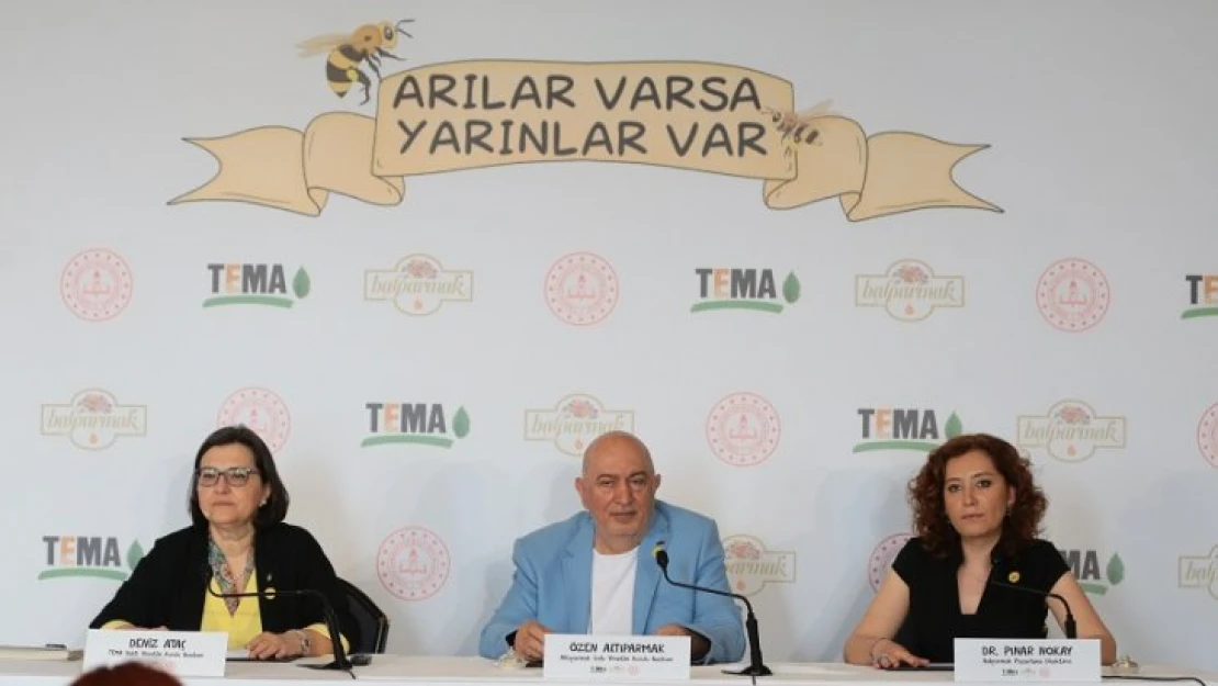 TEMA Vakfından Önemli Proje Arılar Varsa Yarınlar Var