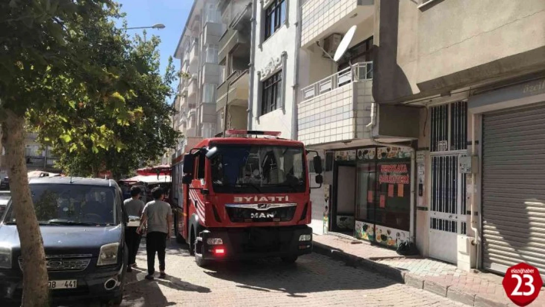 Tinerciler Yaktı, İtfaiye Ekipleri Söndürdü