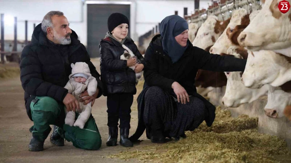 Almanya'dan Memlekete: Elazığlı Çiftçi Bekir Çetiner'in Başarı Hikayesi