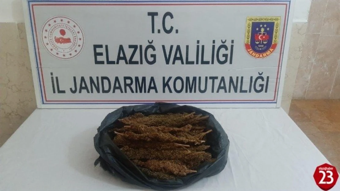 Toz esrarı koltuğa zulalayan 2 şüpheli yakalandı