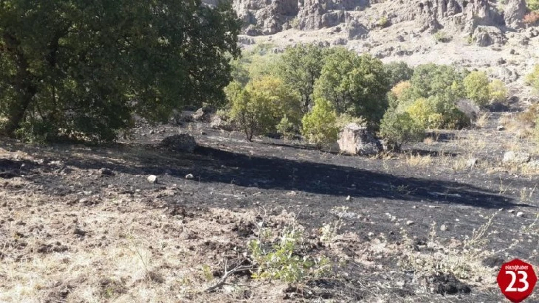 Tunceli'de örtü yangını büyümeden söndürüldü