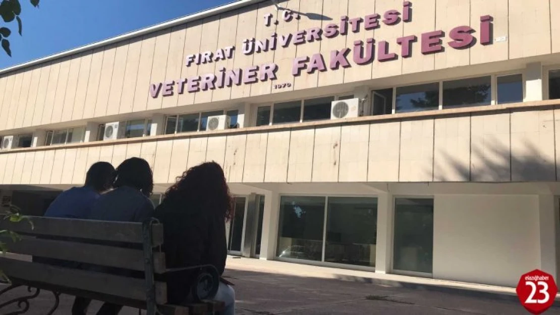 Fırat Üniversitesi Veteriner Fakültesi, EAEVE Tarafından Akredite Edildi