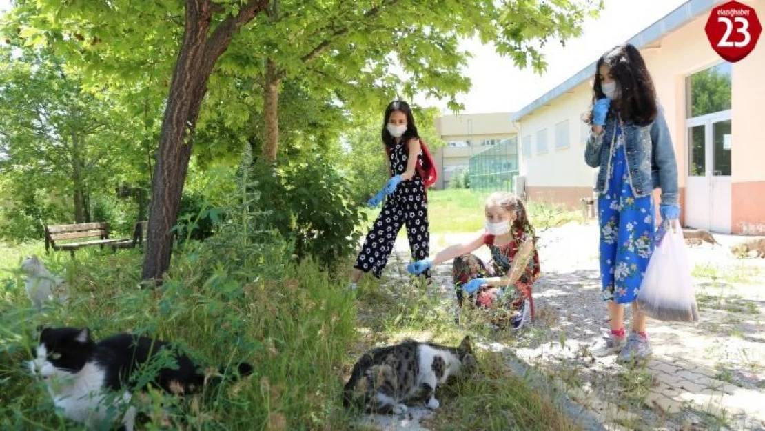 Yaşları henüz 10, sokağa çıktılar ilk işleri hayvanları beslemek oldu