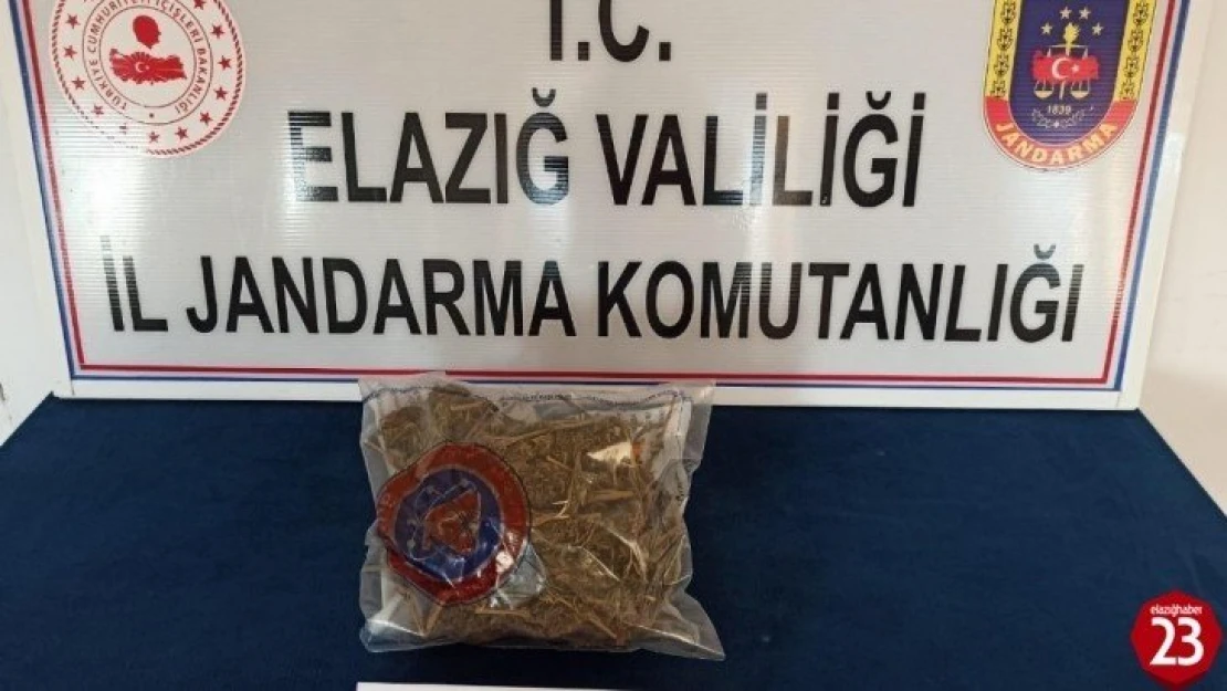 Yolcunun çantasından yarım kilo esrar çıktı