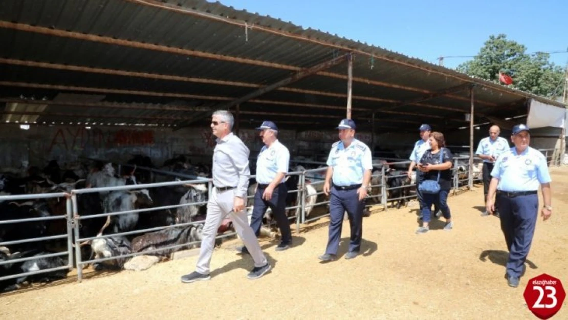 Elazığ'da Zabıtadan Kurban Denetimi