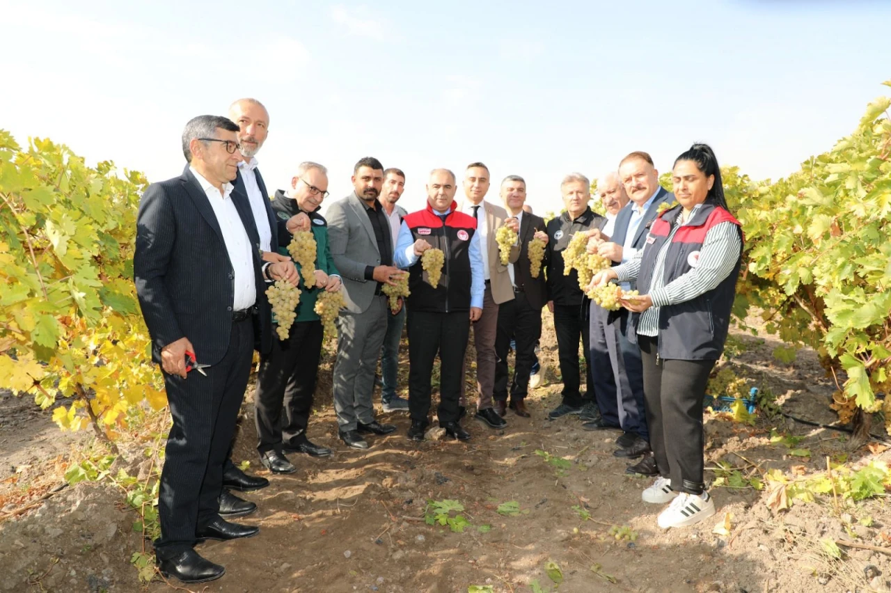 Üzümle Emeğin Buluştuğu Hoşköy'de Bereket Hasadı