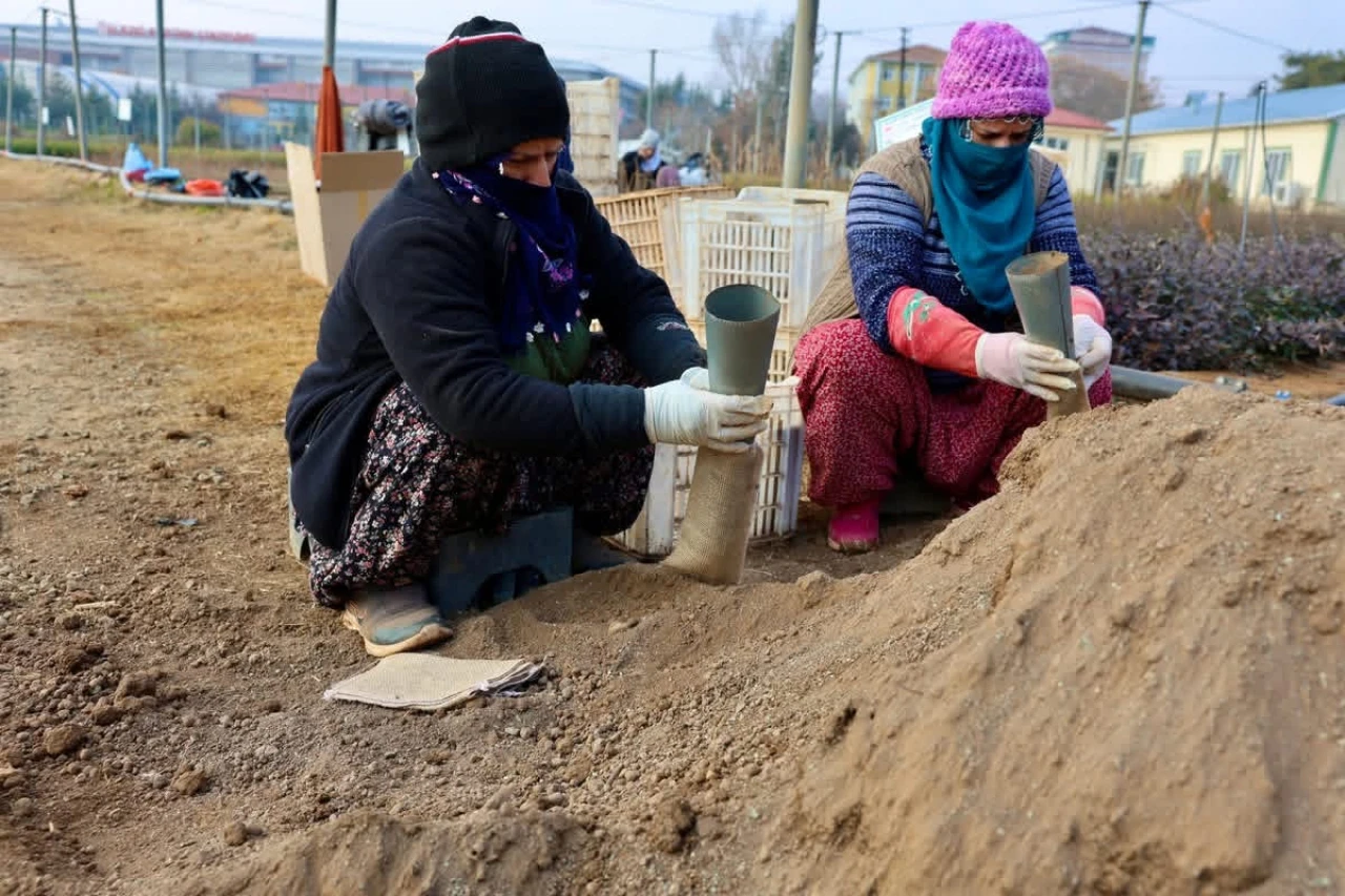 Elazığ Orman Bölge Müdürlüğü'nden Sıfır Atıkla Doğaya Dost Fidan Üretimi