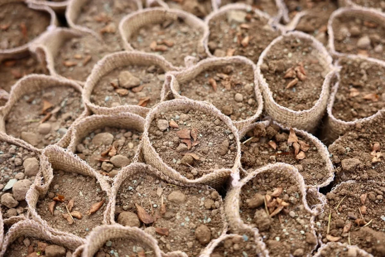 Elazığ Orman Bölge Müdürlüğü'nden Sıfır Atıkla Doğaya Dost Fidan Üretimi