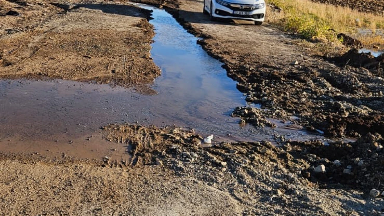 Elazığ Ataşehir Mahallesi'nde Su Patlağı: Lüks Villaların Bulunduğu Sokak Göle Döndü