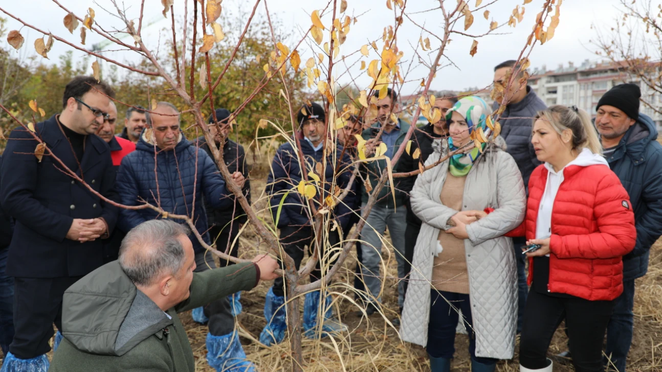 Elazığ'da 'Meyve Ağaçlarında Budama ve Aşılama Teknikleri' Eğitimi Tamamlandı