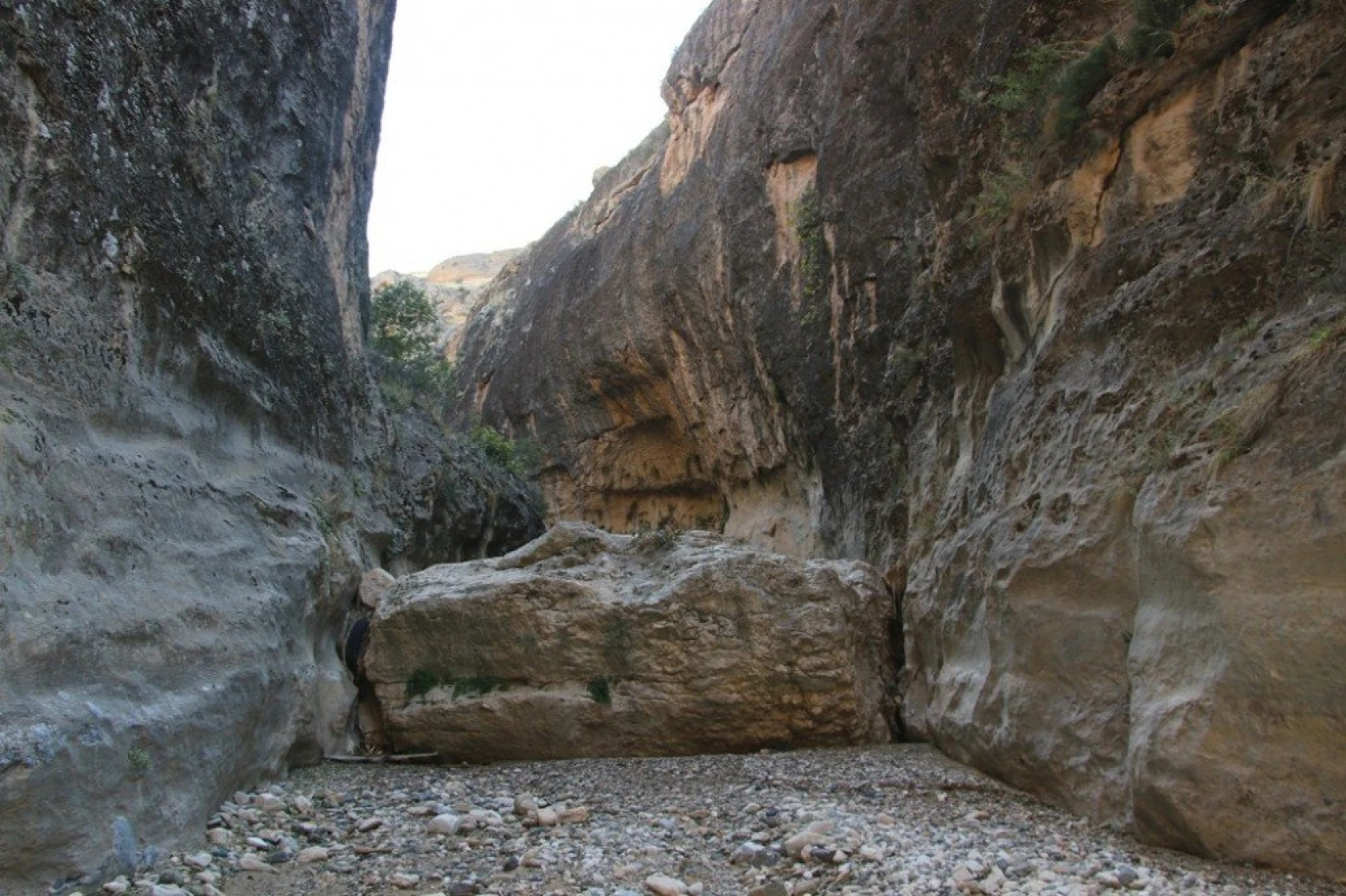 Elazığ'da 9 Milyon Yıllık Yeni Keşif Kanyonları Bir De Böyle Görün