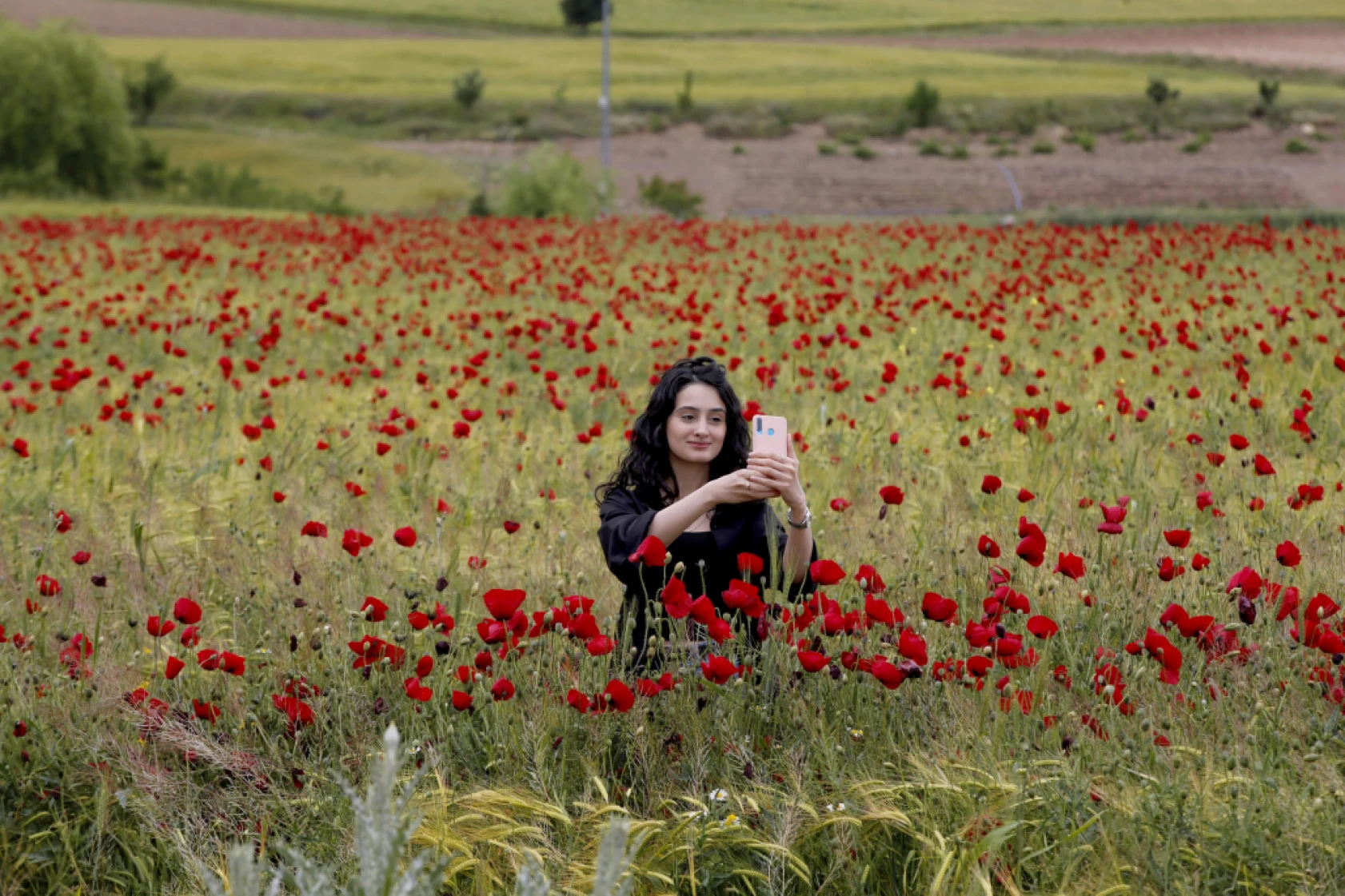 Elazığ'da Doğaseverler Kırmızıya Bürünen Gelincik Tarlasını Fotoğrafladı
