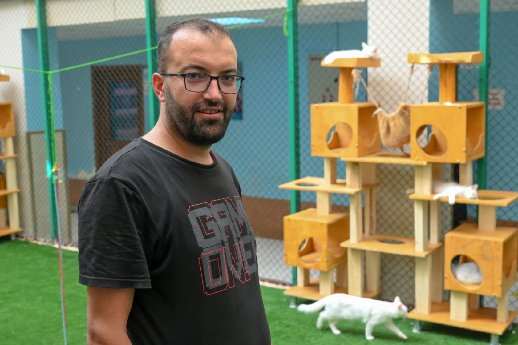 Van Kedi Villası'nda Her Sene 100 Sevimli Pati Sahiplendiriliyor