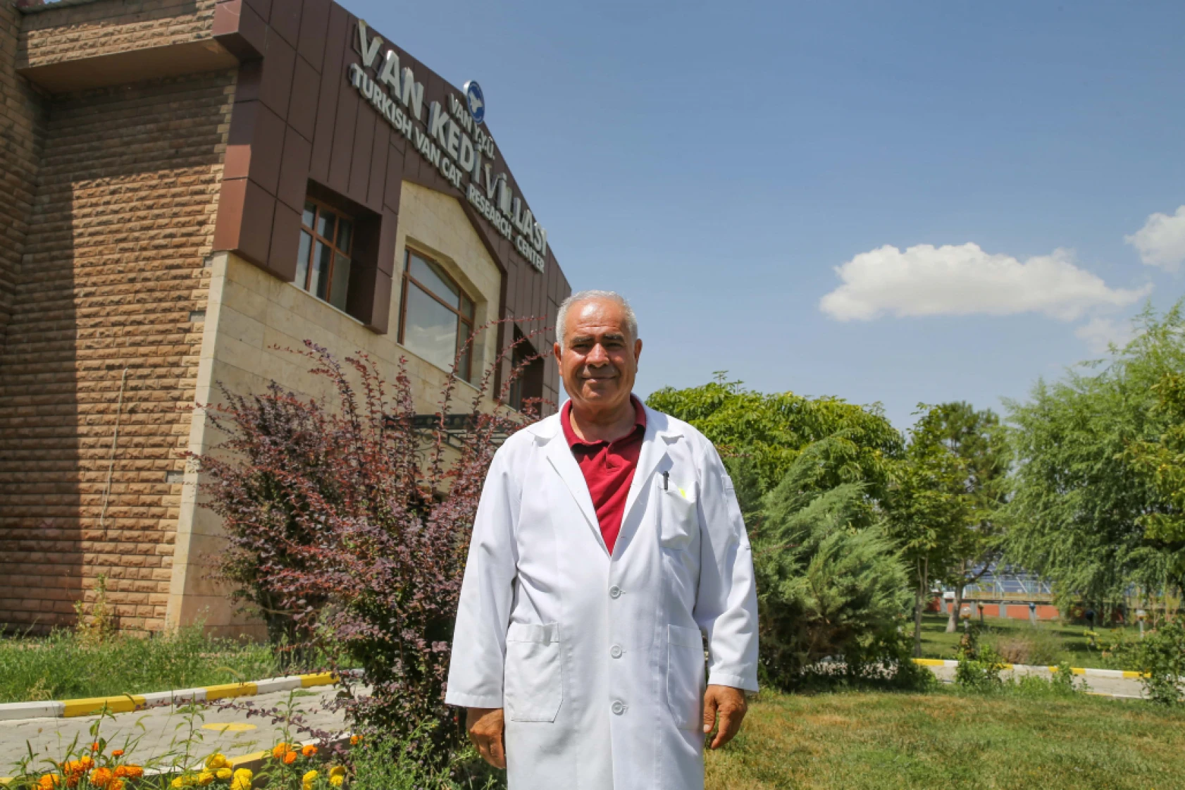 Van Kedi Villası'nda Her Sene 100 Sevimli Pati Sahiplendiriliyor