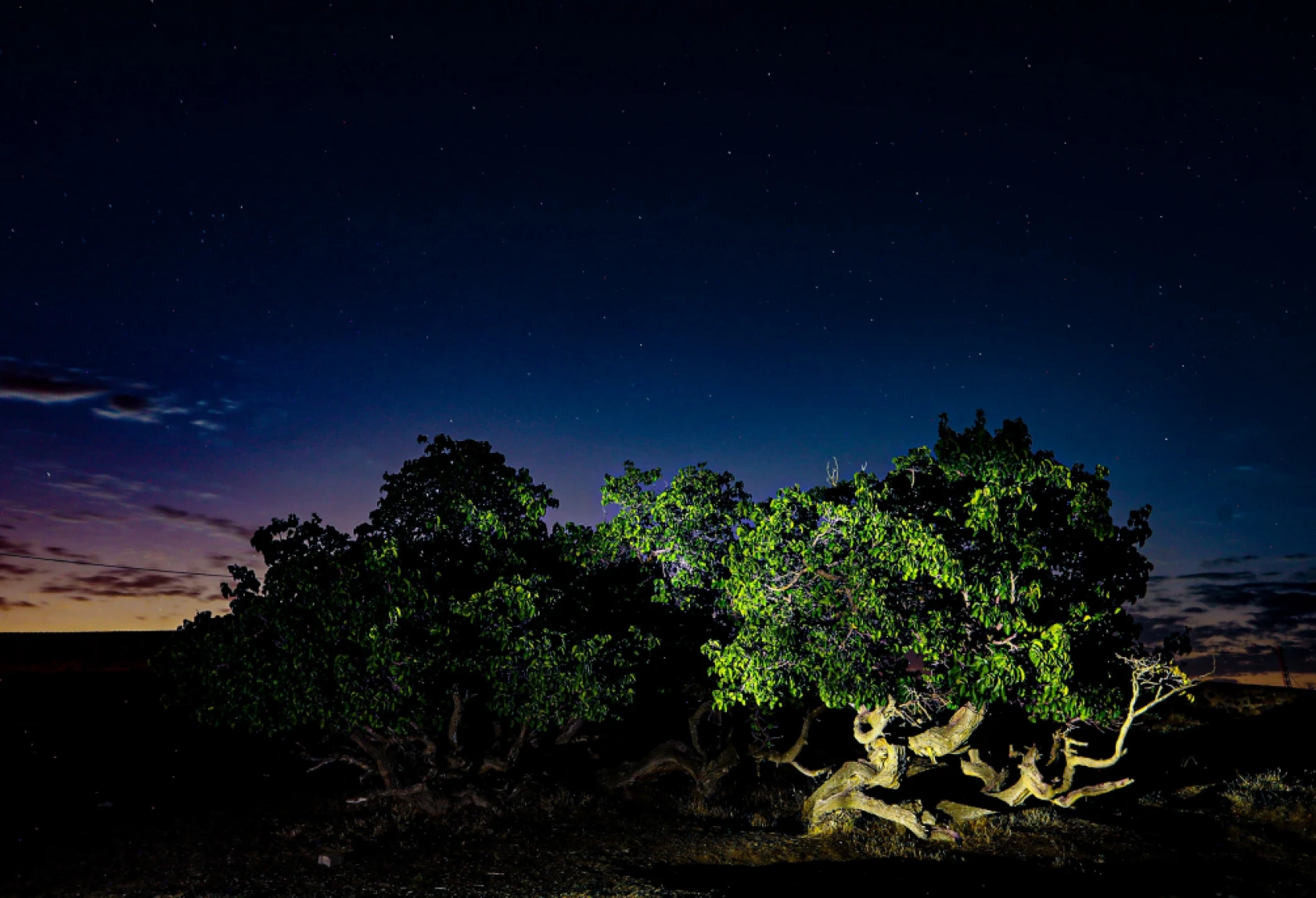Van'da, Perseid Meteor Yağmuru