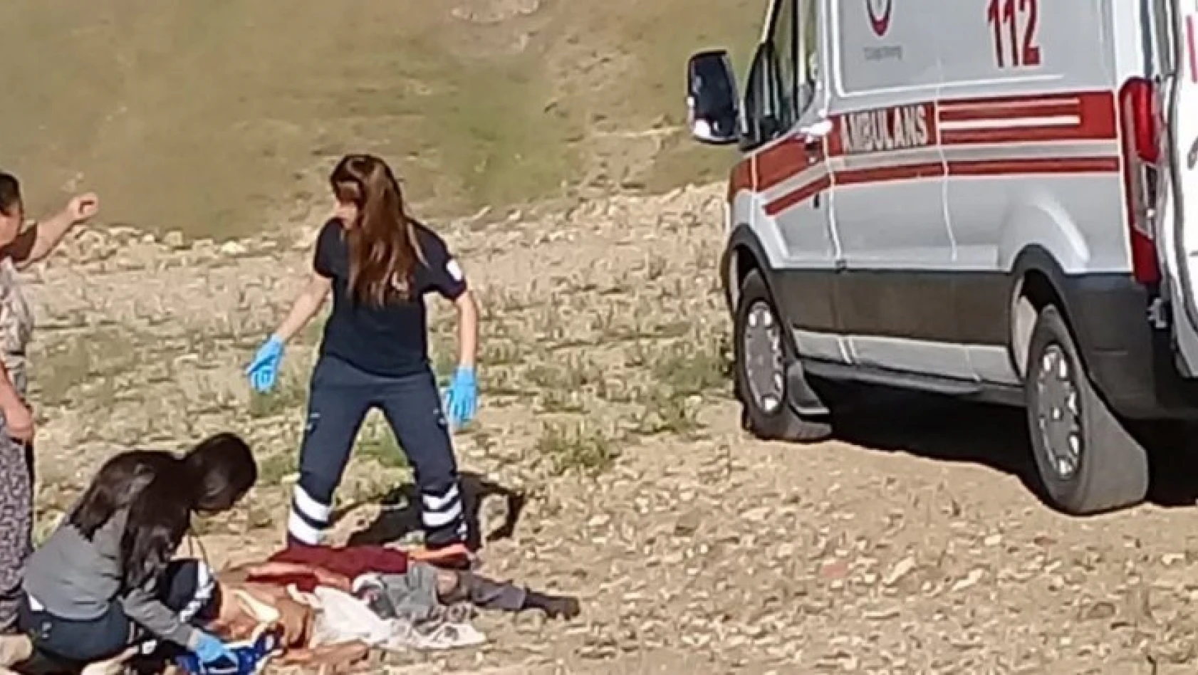 Sokak Köpeklerinin Saldırdığı Yaşlı Kadın Öldü