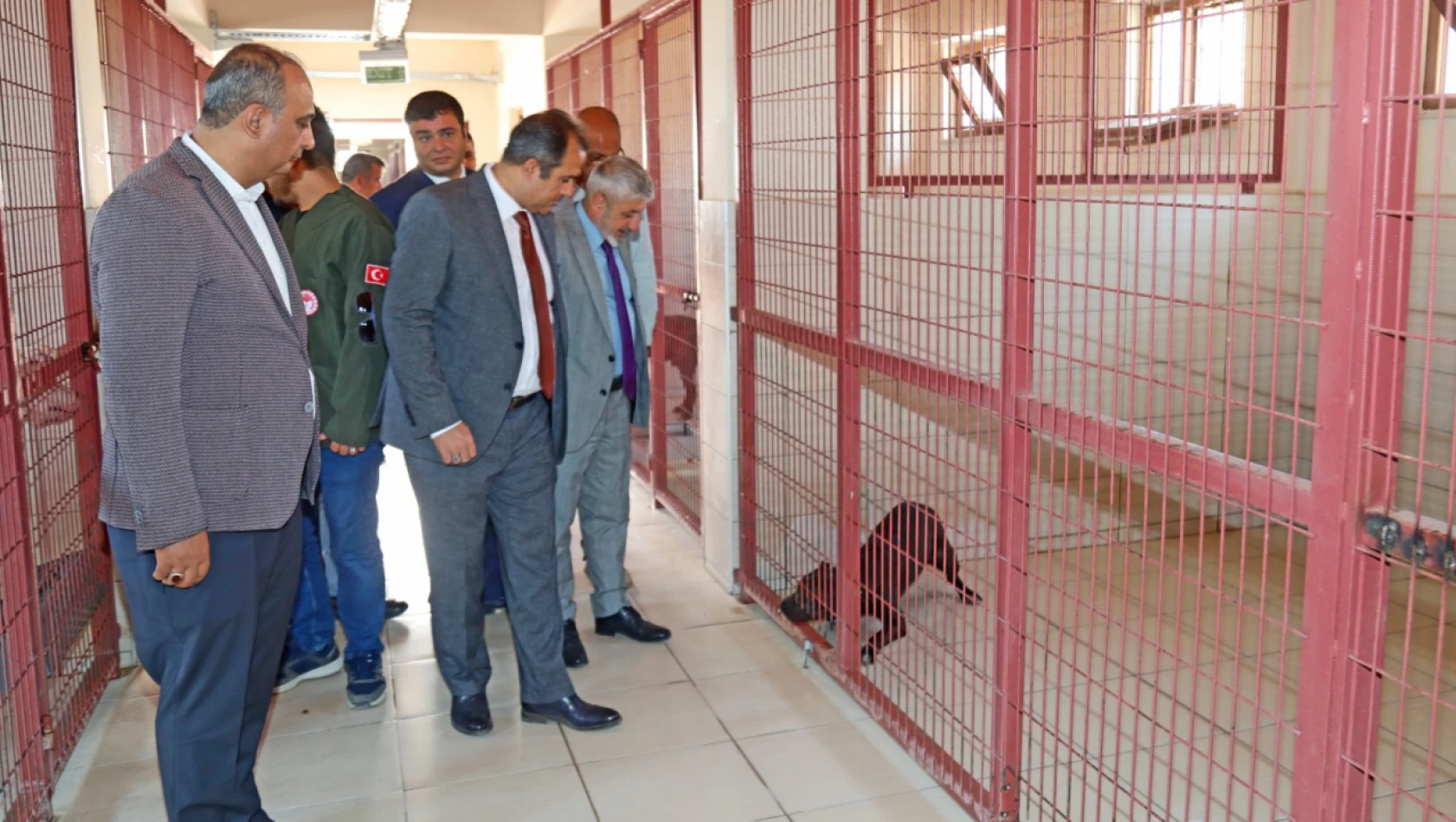 Elazığ Belediyesi Geçici Hayvan Bakımevi ve Rehabilitasyon Merkezi'ne Ziyaret