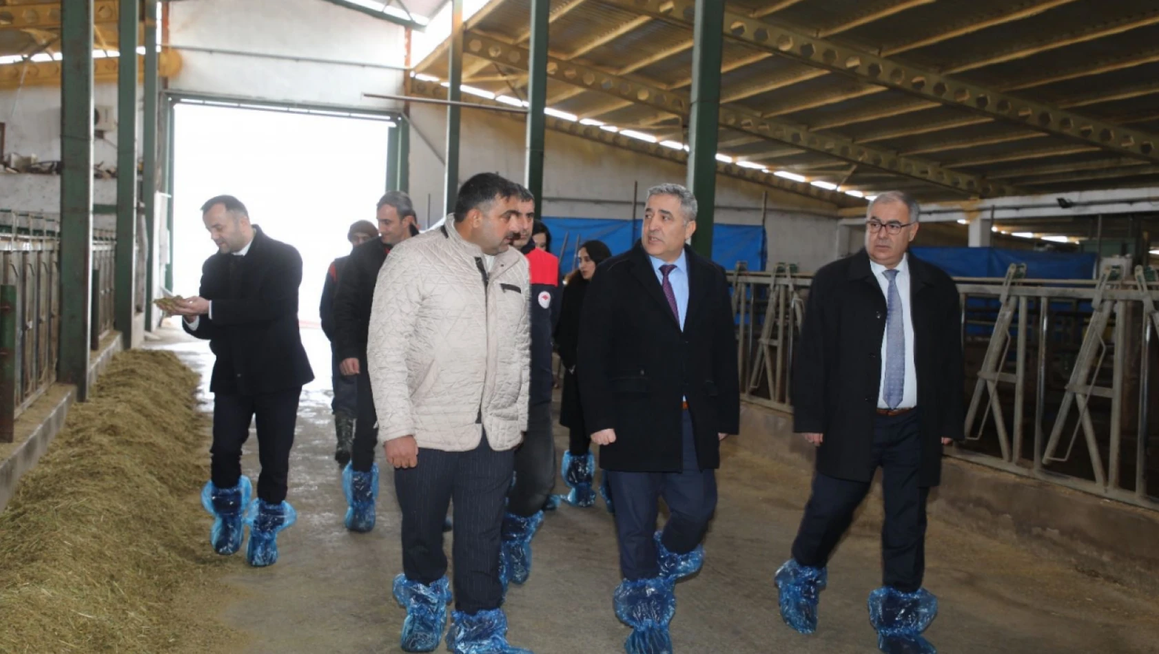 Elazığ'da Hayvancılık Tesislerine Saha İncelemesi: Deprem Sonrası Yapılar ve Ari İşletmeler Değerlendirildi