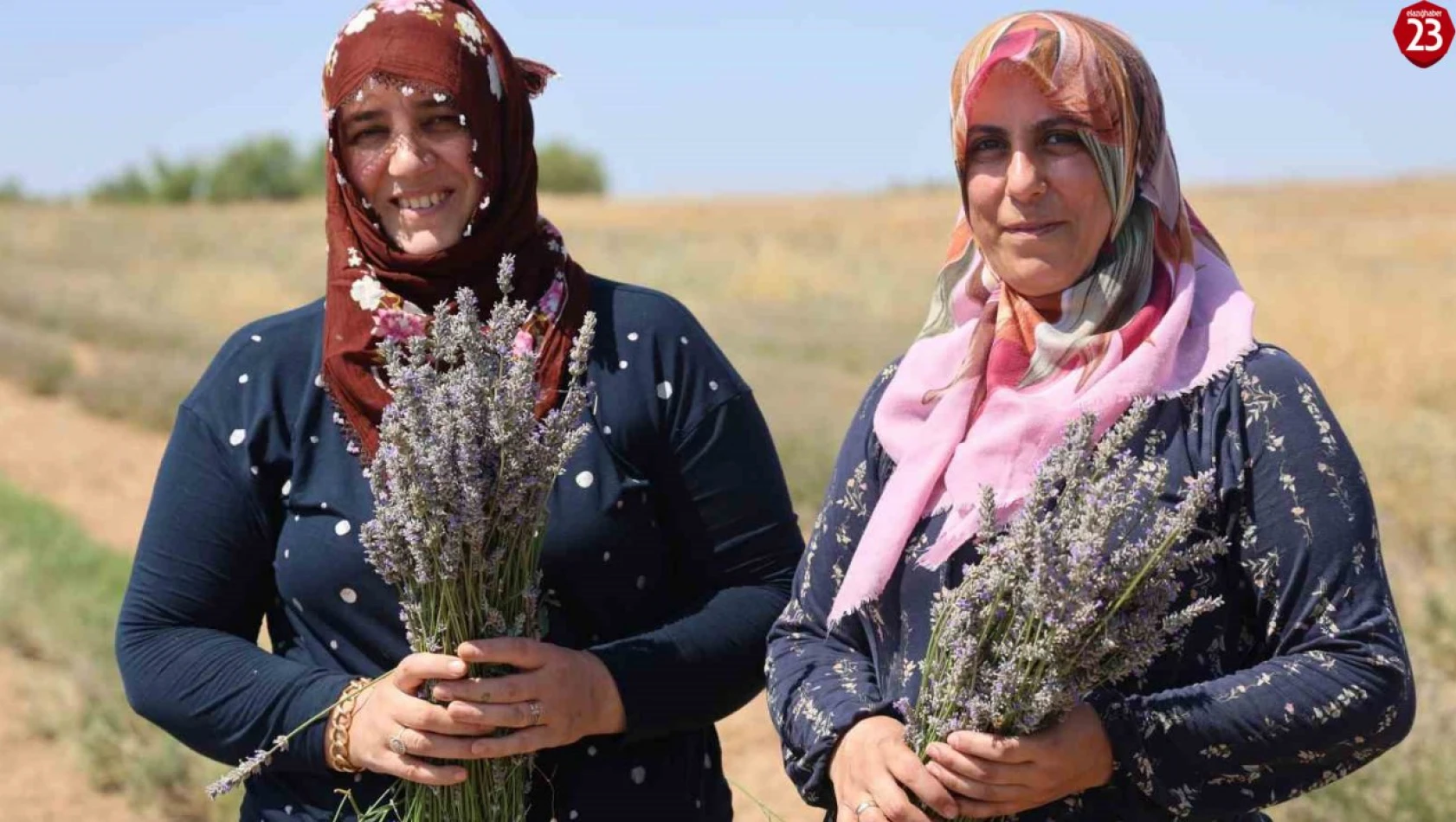 Gelin-görümce sırt sırta verdi, lavanta bahçesi kurdu