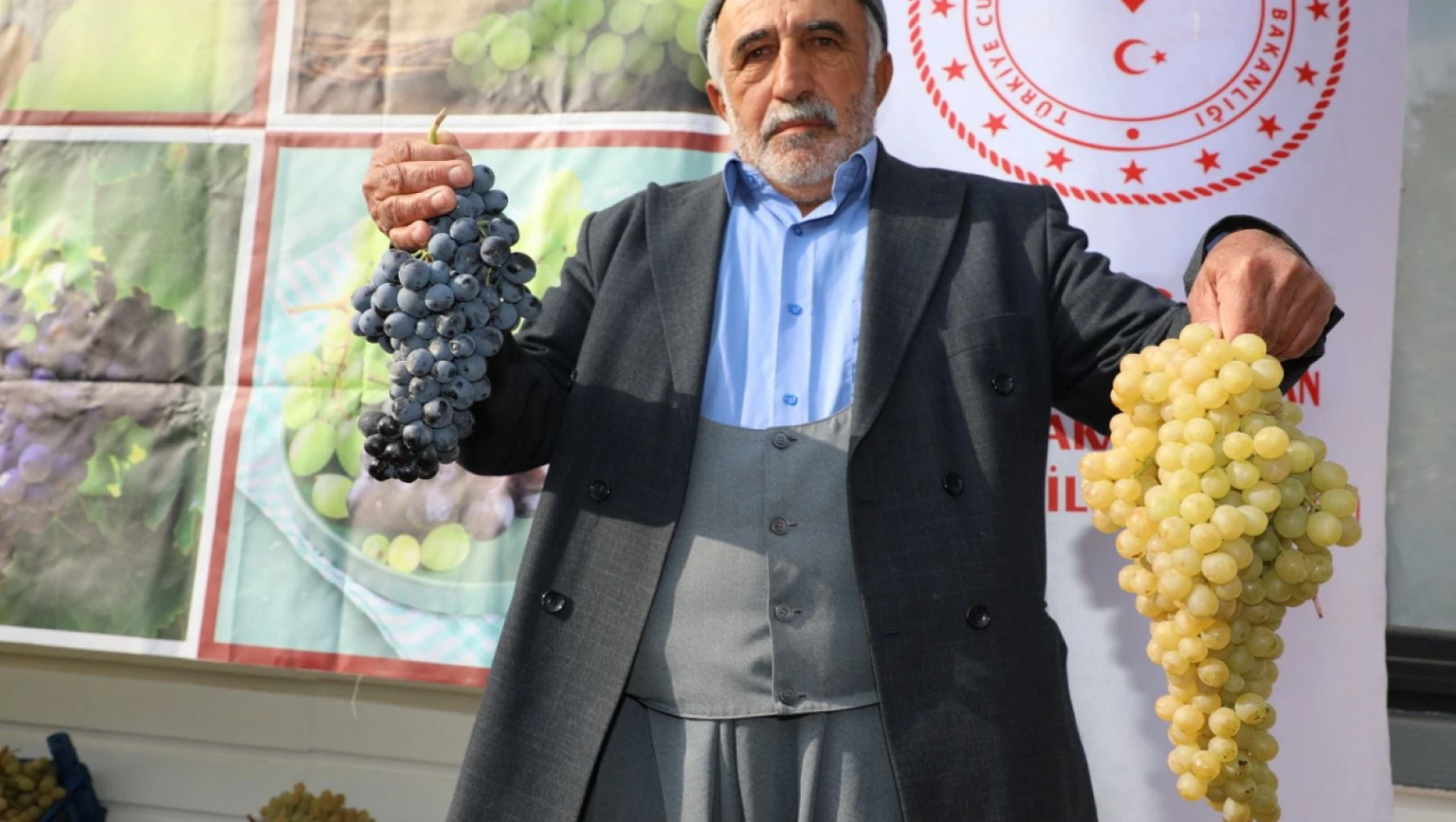 Üzümle Emeğin Buluştuğu Hoşköy'de Bereket Hasadı